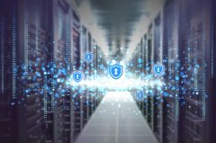 TikTok 禁令政策在多国引发争议