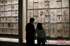 探访秦岭博物馆 游人感受“和合南北”特色